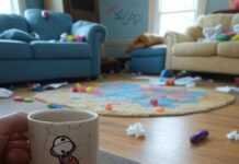 Understanding the ‘Why’ Behind Your Child’s Behavior Understanding Child Behavior: Chaotic Ohio Living Room