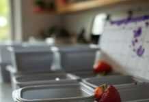 Meal Planning for Busy Families: Keeping Nutrition in Check Meal Planning Chaos: Ohio Kitchen Snap